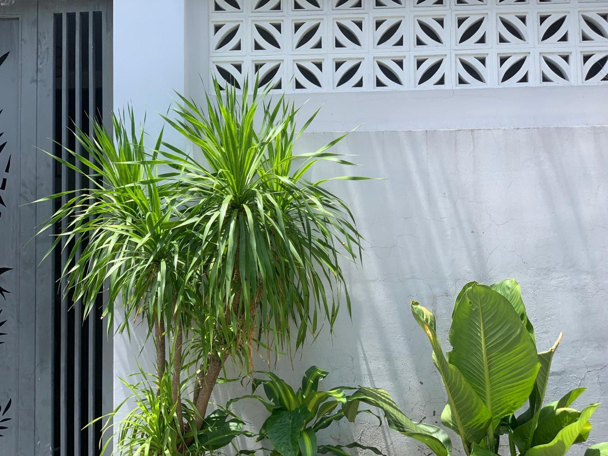 Tina House Apartment Danang Exteriér fotografie